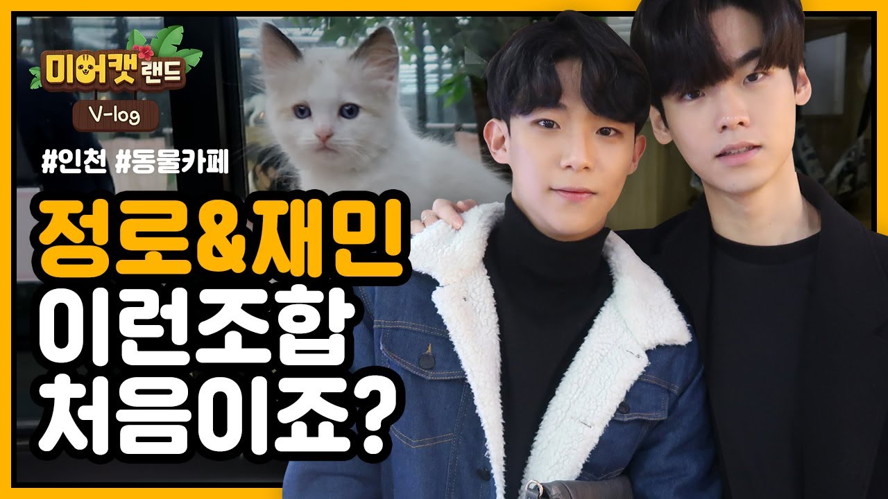 [ENG]정로, 재민 과 함께하는 동물카페 탐방기(A tour of animal cafes with Jeong-ro and Jaemin)