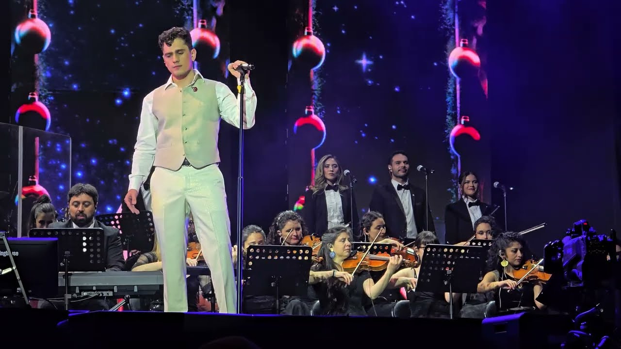 Nico Ruiz~ It's Beginning to Look a Lot Like Christmas-Parque de las esculturas-Santiago, Chile-2025