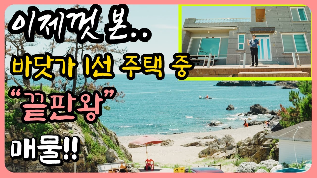 “단 한 채! 이 바닷가 집 놓치면 평생 후회합니다” 바닷가 주택 매매 바닷가 집 매물 바닷가 집 부동산 포항 부동산 매물