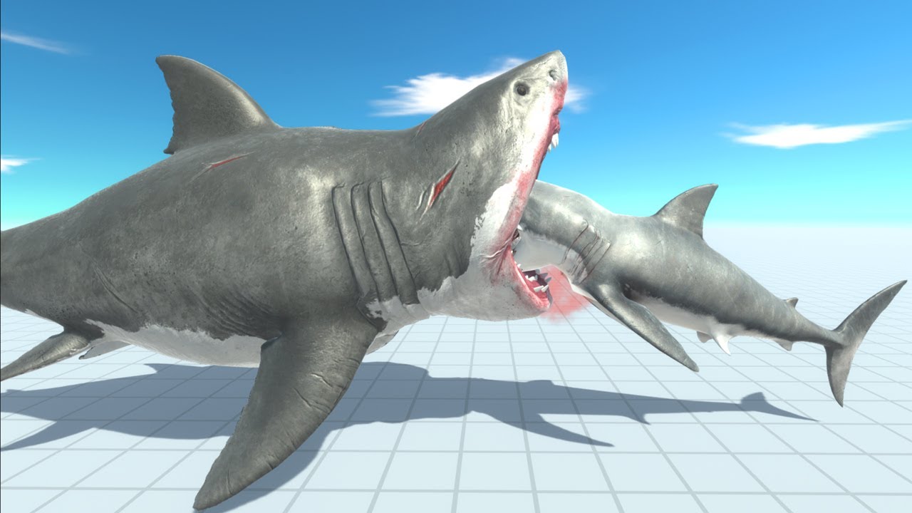 (New Update) Mutant Megalodon Death Run Tour - Animal Revolt Battle Simulator