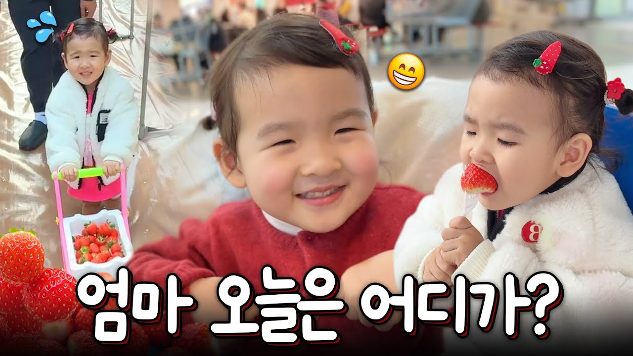 딸기 농장 갔다가 잔소리 폭탄… 뽀로로 파크 눈물까지🤣 현실 육아 주말 브이로그