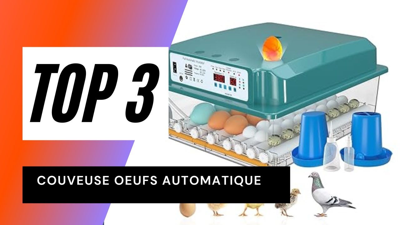 TOP 3 : Meilleure couveuse d'oeufs automatique pour une incubation parfaite en 2024 🥚