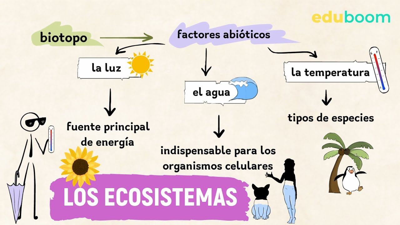 Los ecosistemas y sus componentes :: Biología y Geología, 1° ESO