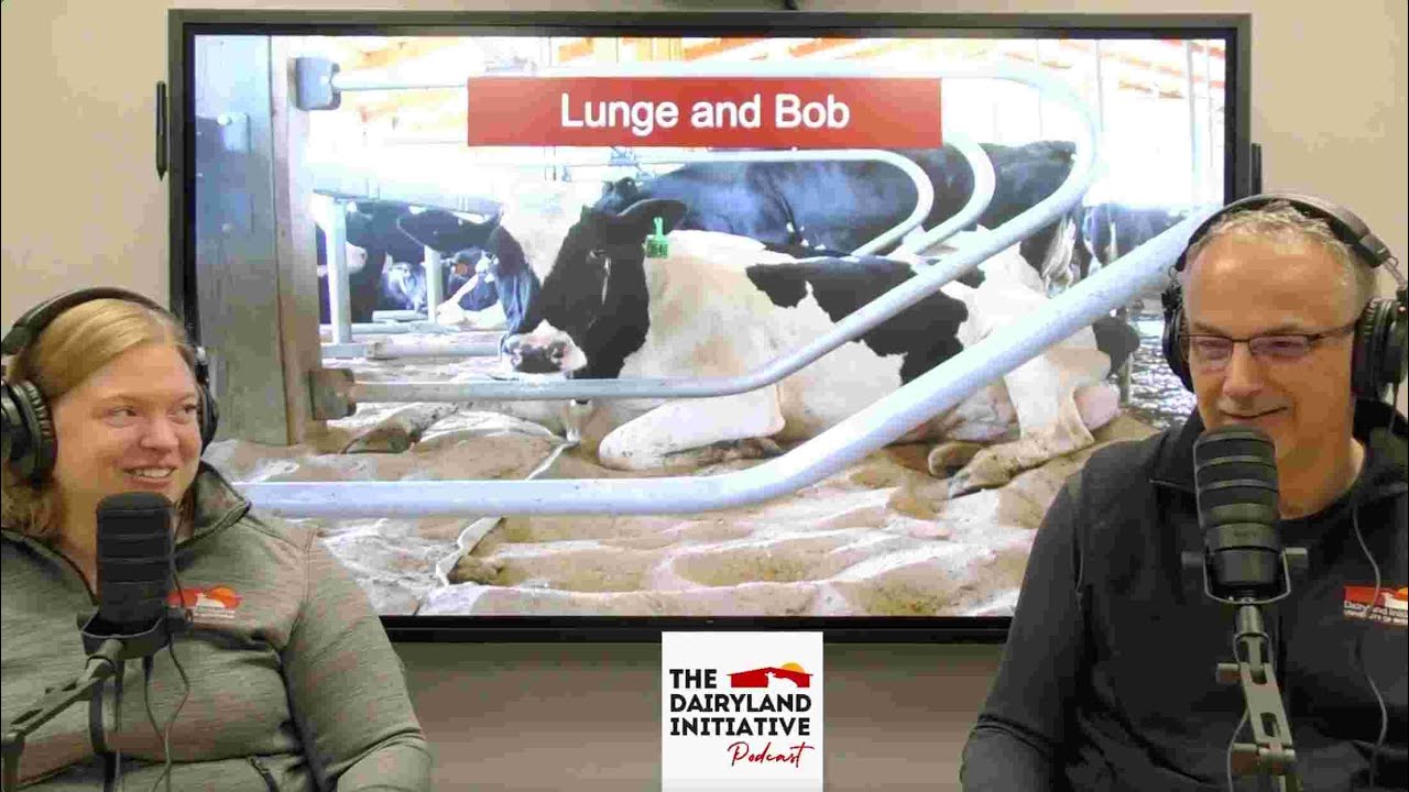 Episode 20: Freestall Design - Lunge and Bob