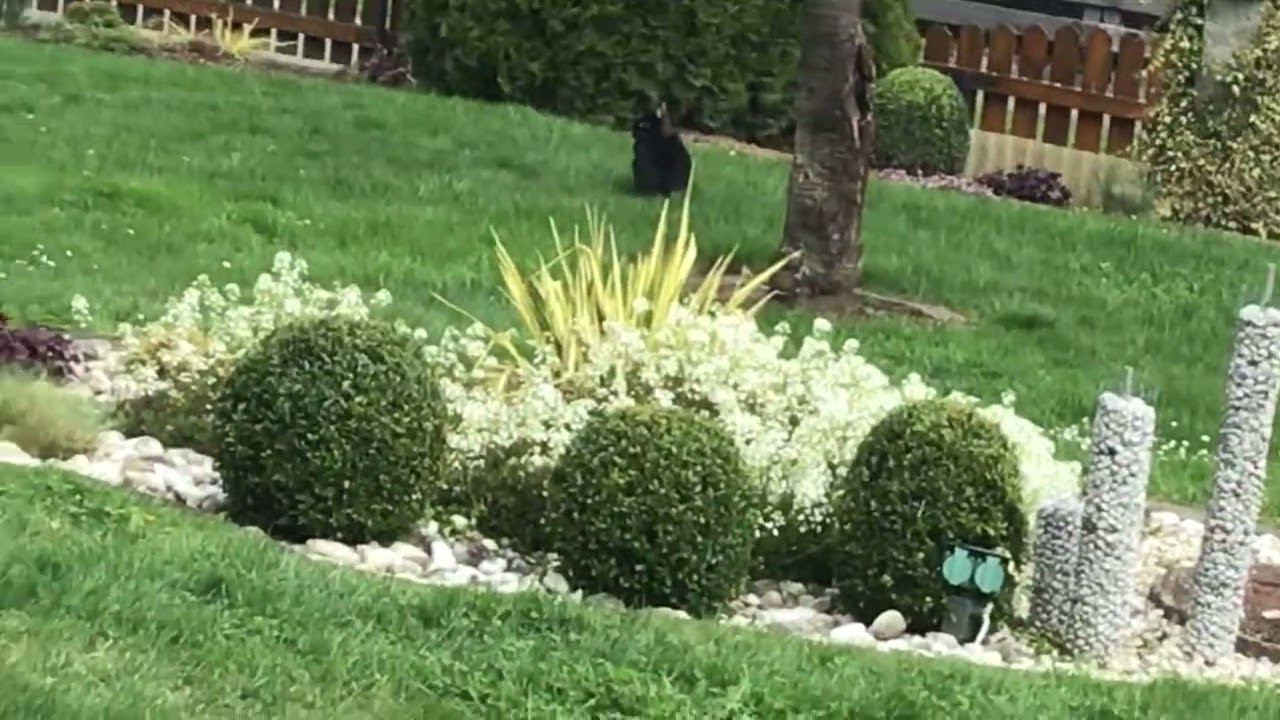Franz and Lulu