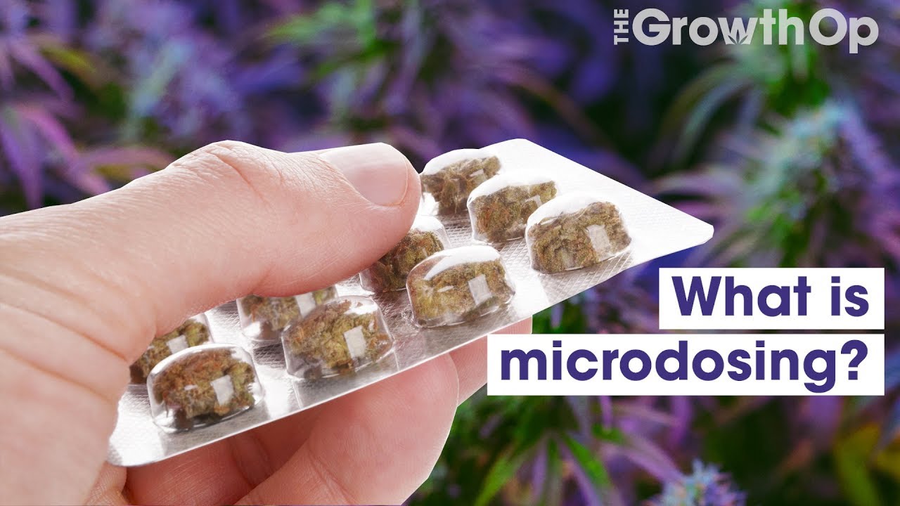 What is microdosing for cannabis? | Weed Easy