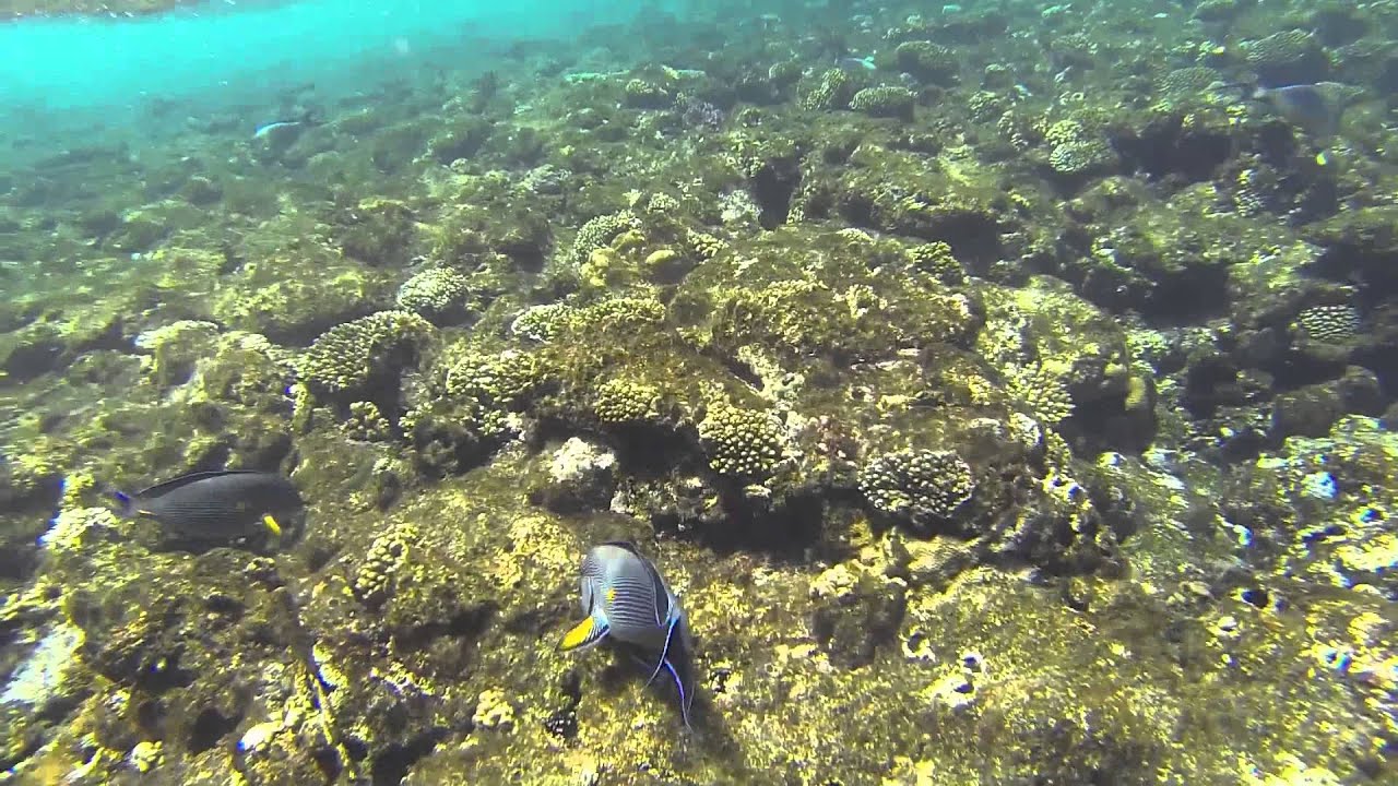 Family Holiday to holiday village red sea Egypt