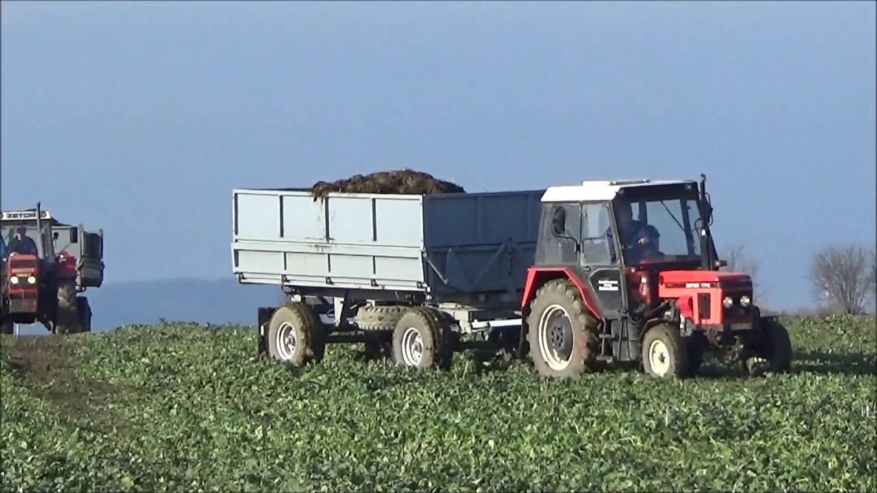 Vývoz hnoje 2020 Zetor7711 a 2x Crystal12145