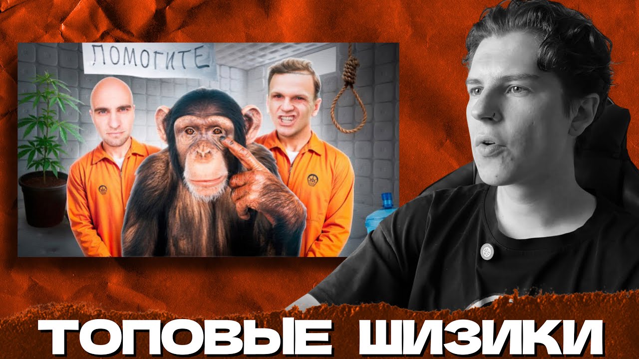СЕИН СМОТРИТ: СОШЛИ С УМА И ПОТЕРЯЛИ ВСЁ / БЛОГЕРСКАЯ ШИЗА (ЛАРИН, ЛИКЕЙ)