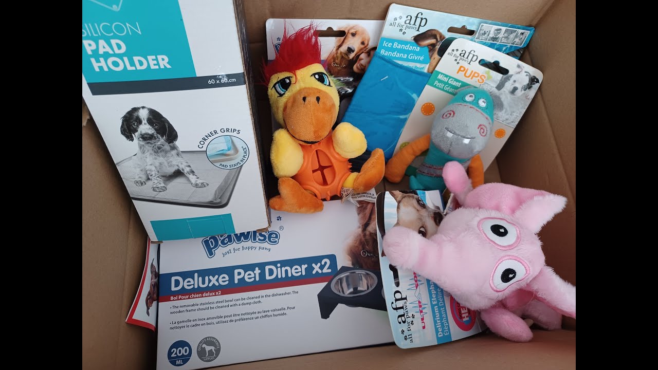 Zoostore Überraschungsbox für Welpen 🐔 Unboxing 💙 | Hundebox Test | 🐺 Husky Goraidh 🐾