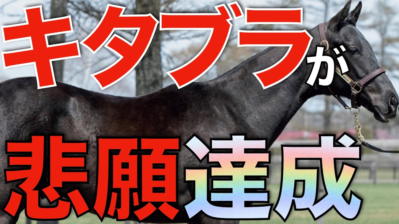 ついに悲願の日本ダービー制覇！種牡馬キタサンブラックが圧倒的すぎる。