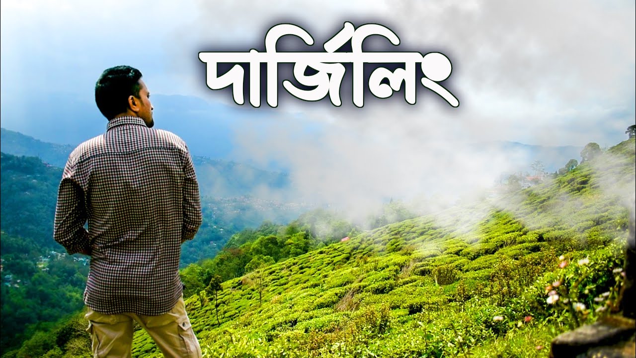 DARJEELING LOCAL SIGHTSEEING. দার্জিলিং এর আশেপাশের বিভিন্ন জায়গাগুলি ঘুরে দেখলাম। DARJEELING TOUR.
