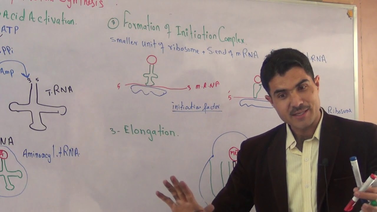 L-7 Translation || Protein synthesis Part#2 full concept in Urdu Hindi by DR Hadi