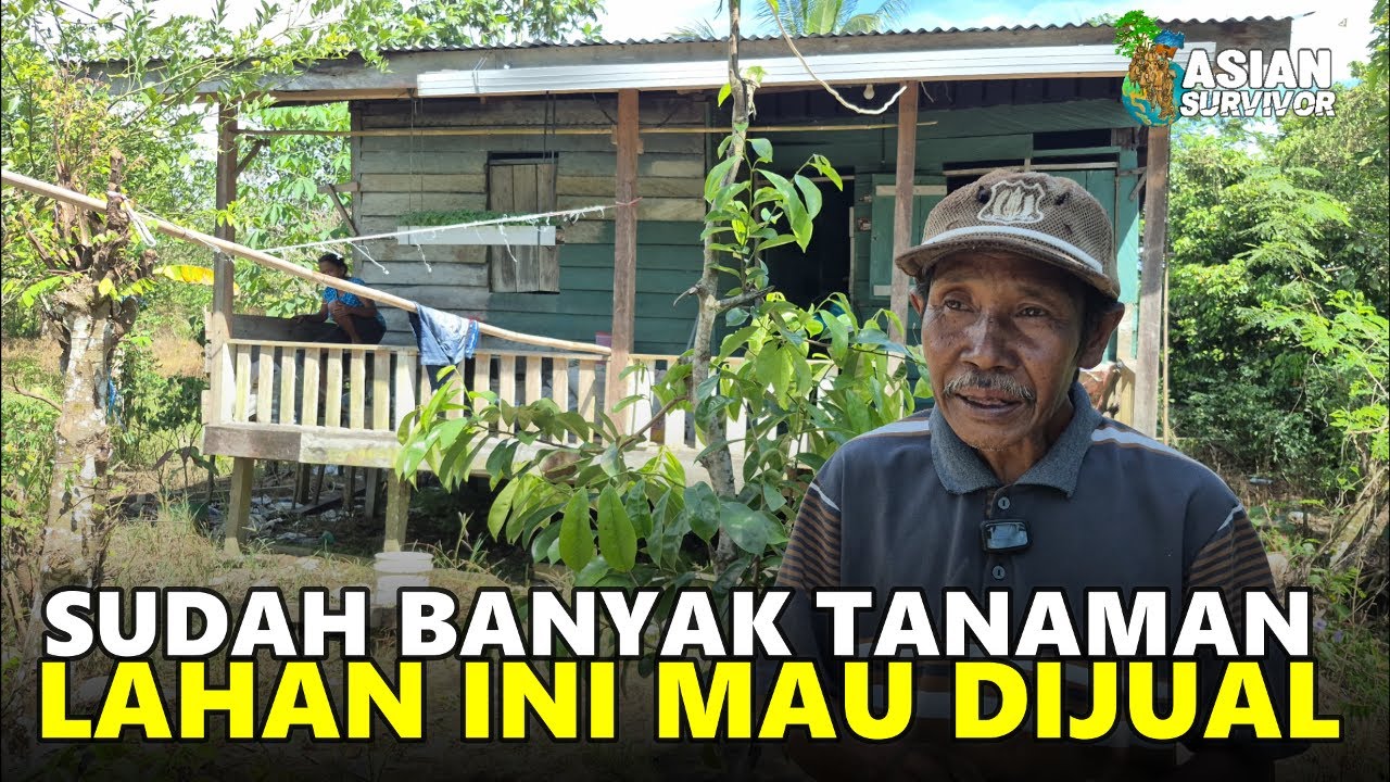 ALASAN PAK M.ROSYID INGIN MENJUAL LAHANNYA SETELAH DIKELOLA SELAMA LEBIH SEPULUH TAHUN TRANSMIGRASI