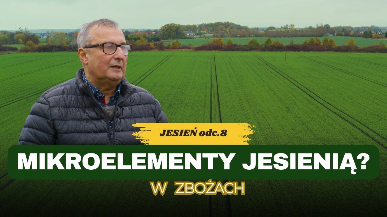Mikroelementy w zbożach jesienią? Nawożenie dolistne, nie tylko mocznikiem | e-pole