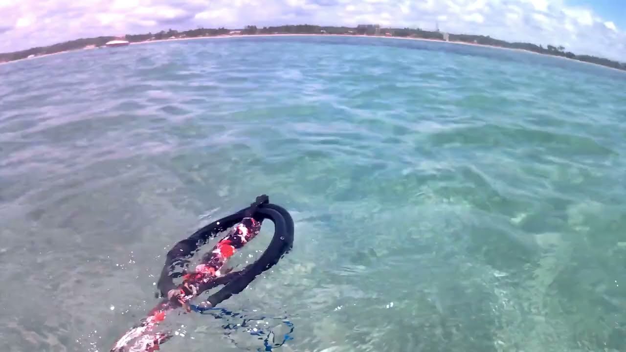 Peguei vários peixes no Fundo do Mar #fishing #pescaprofissional #spearfishing