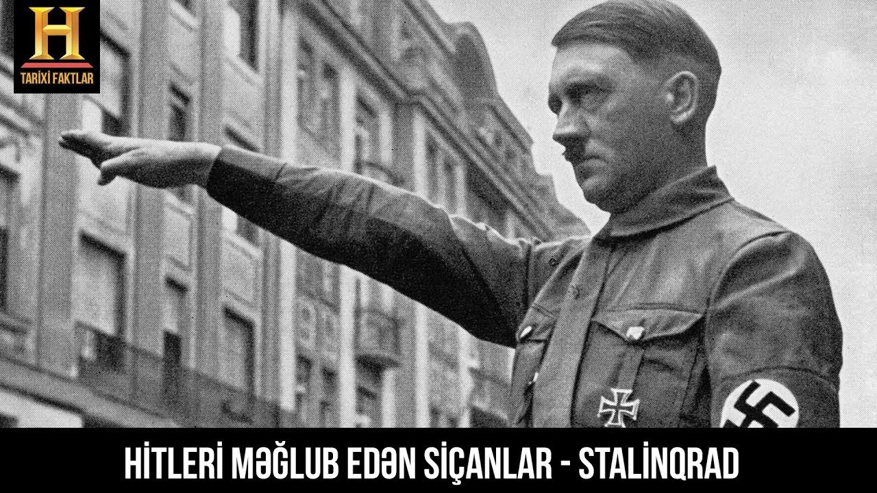Stalinqrad da Hitleri nə məğlub etdi?