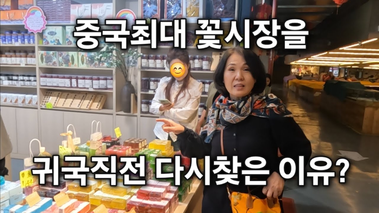 귀국전 쇼핑명소 중국최대 꽃시장 Dounan Flower Market Store斗南花市商店