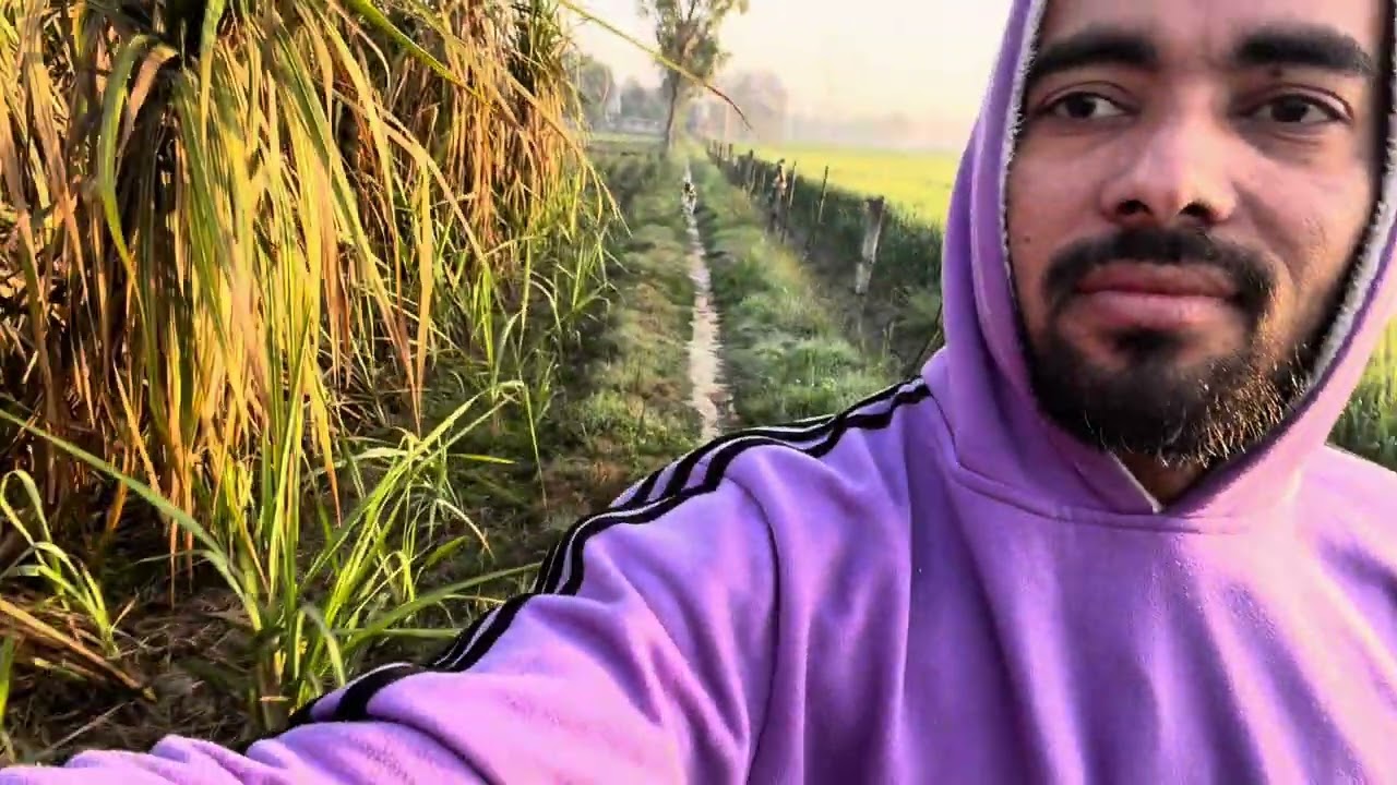 Sunday work at farm #vlogging #MorningRoutine #dayinmylife 