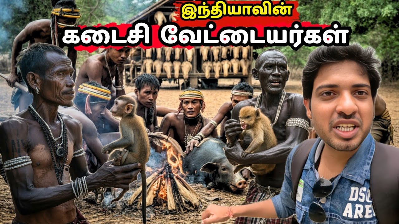 மனிதர்*களை வேட்டையாடும் இந்திய மியான்மர் எல்லையில் உள்ள பழங்குடியினர்| LAST HEAD HUNTE*RS | #tribal