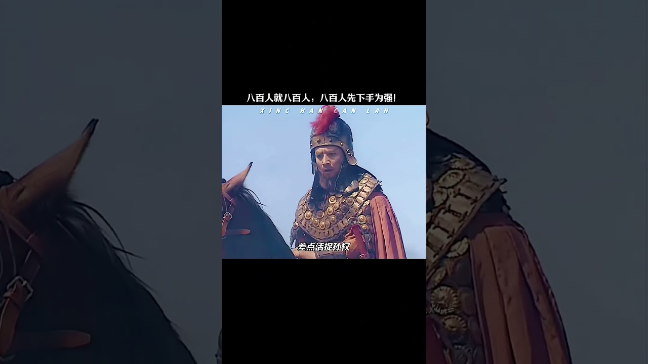 古代800人能干嘛？ #历史 #李世民 #张辽