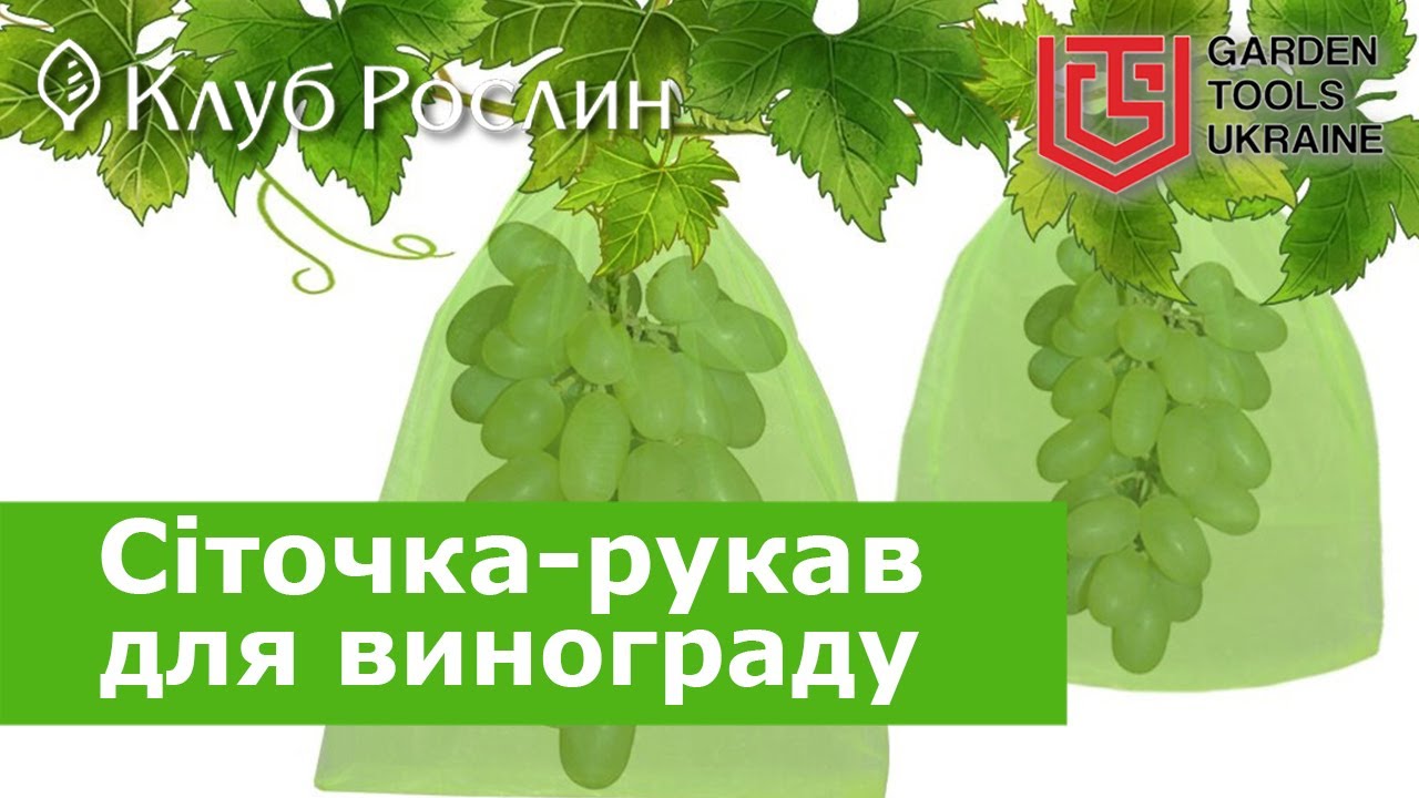 Сеточка-рукав для защиты винограда и других плодов