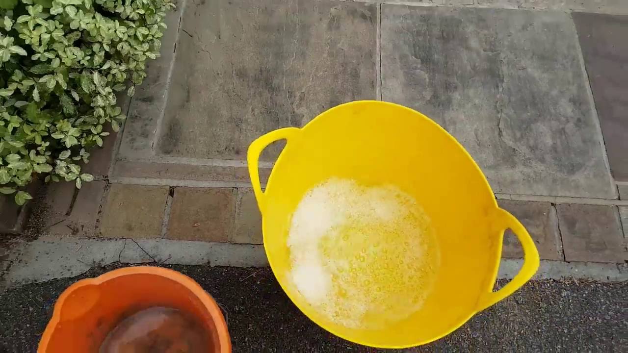 Black Stains on Driveways & Patios. Removing Black Fungus Stains Using Household Bleach.