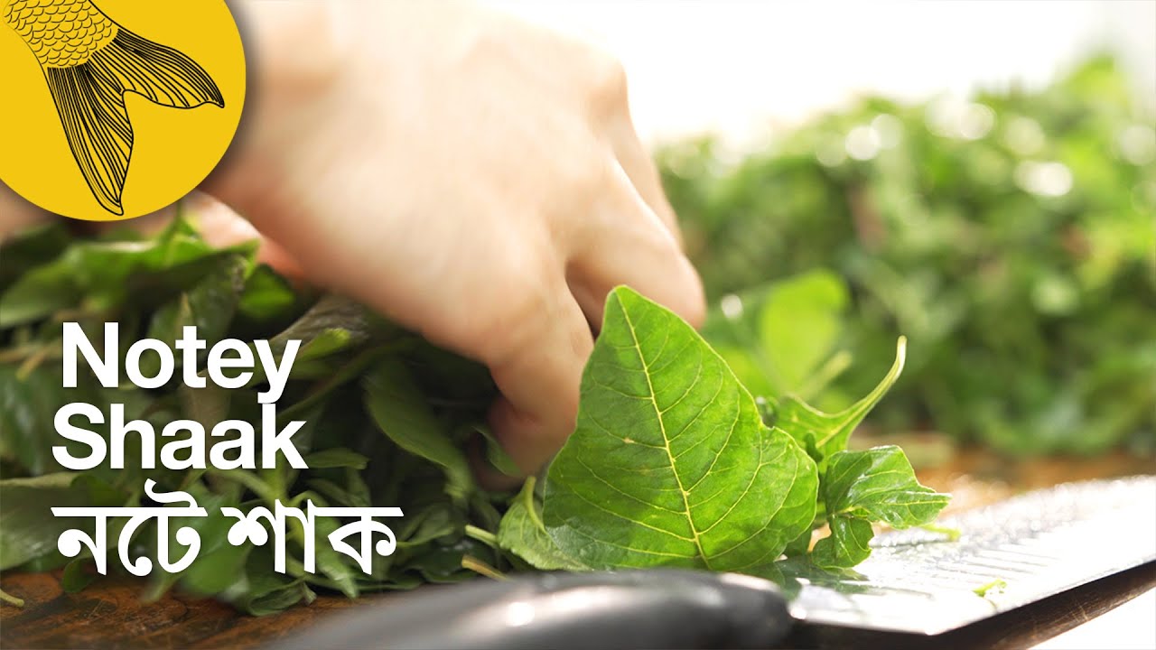 Notey shaak—Green Amaranth | Bengali leafy greens recipe