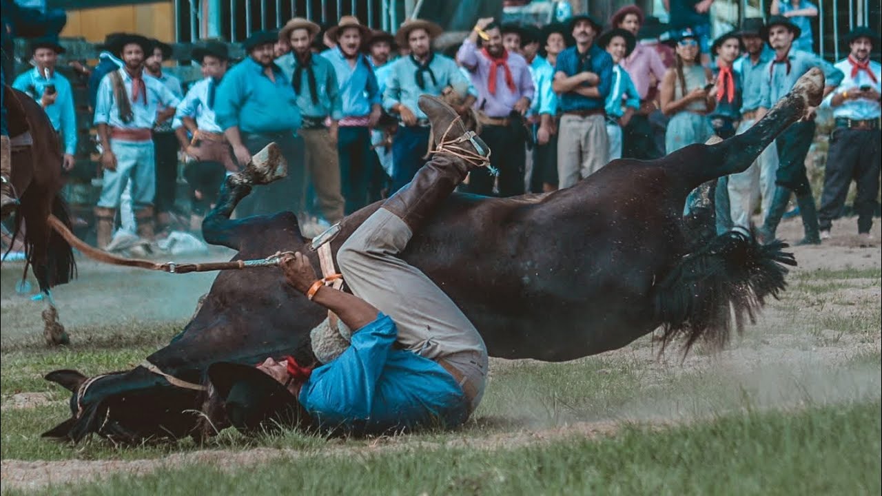 Rodeio COMPLETO • Pelotas • CGRU 2024