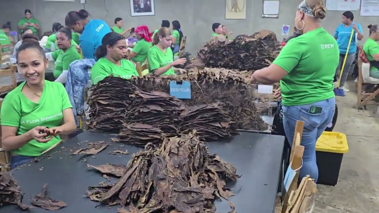 CD, PROCIGAR, La Flor Dominicana celebrando su 30 Aniversario, Litto Gomez  Recorrido por la Fabrica