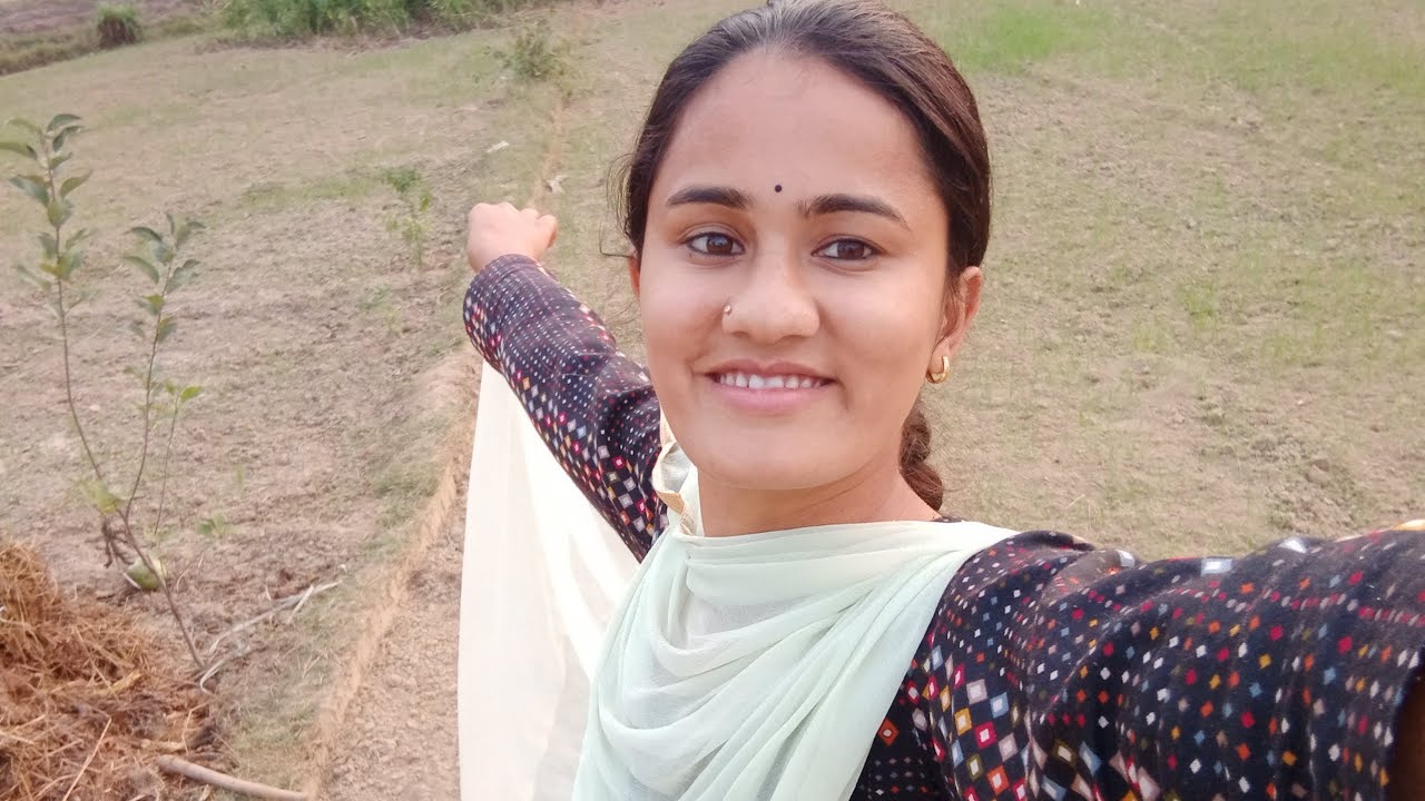 शाम को खेत से लाई सुखी लकडियां #villagevlog #villagelife #vlog #farming #newvlog #himachal #kishan🇮🇳