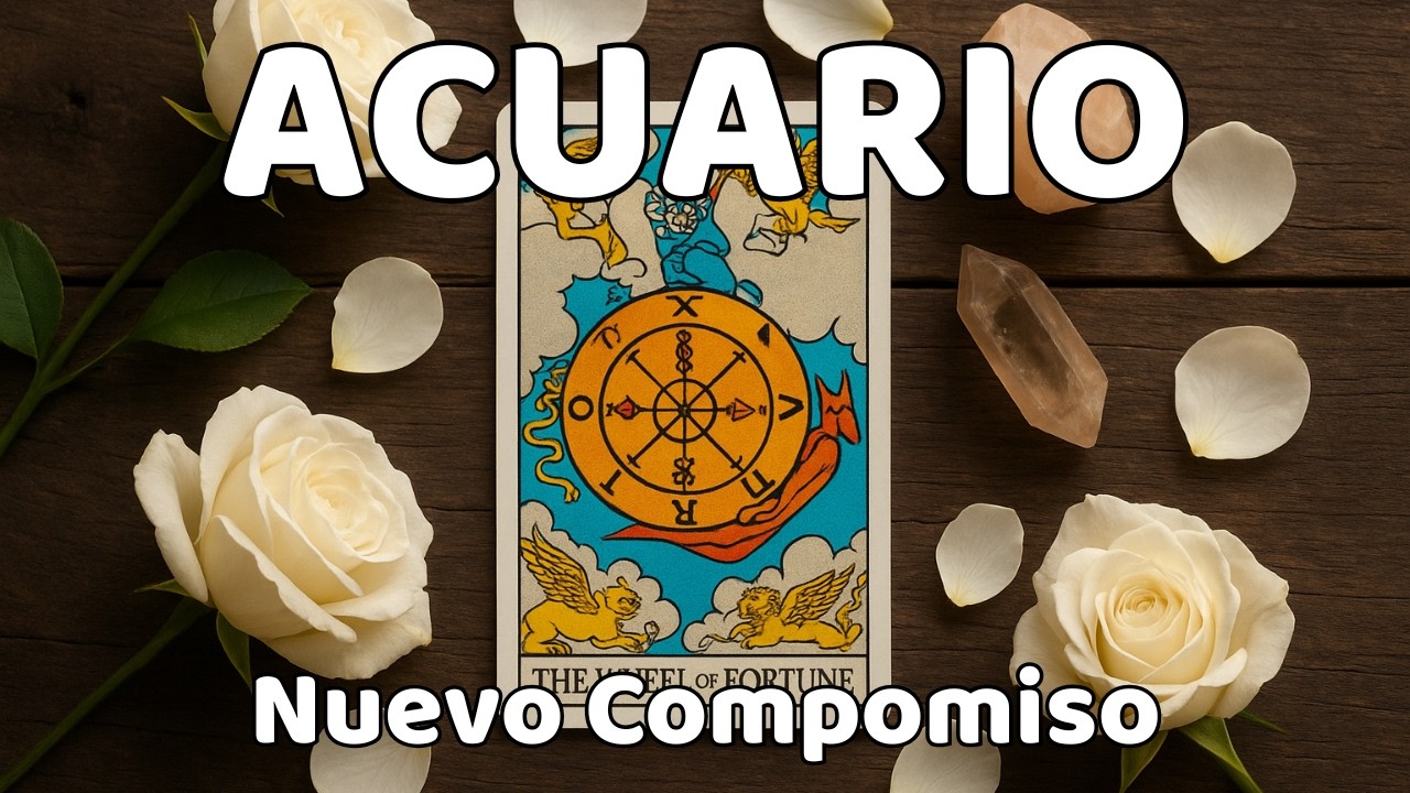 Acuario 🚨 Todo se Acelera: El Ritmo Aumenta y la Abundancia Responde! Alguien Te Ama! Tarot Hoy
