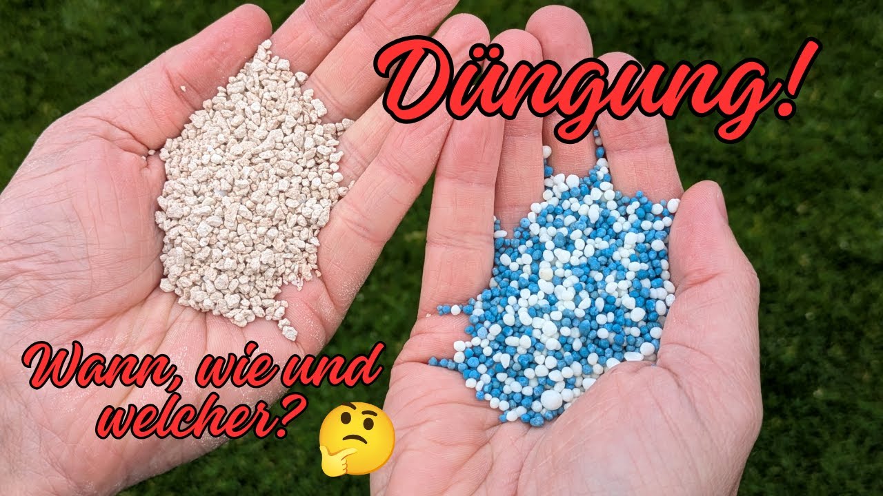 Rasendünger - wann, wie und welcher?