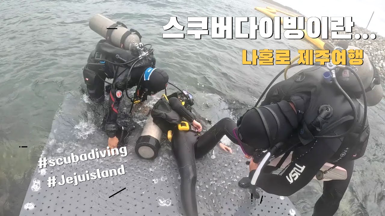 🤿 스쿠버 다이빙을 배우고 싶었습니다 | 🏝️ 나홀로 제주여행