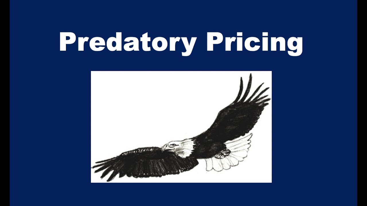 What is Predatory Pricing?