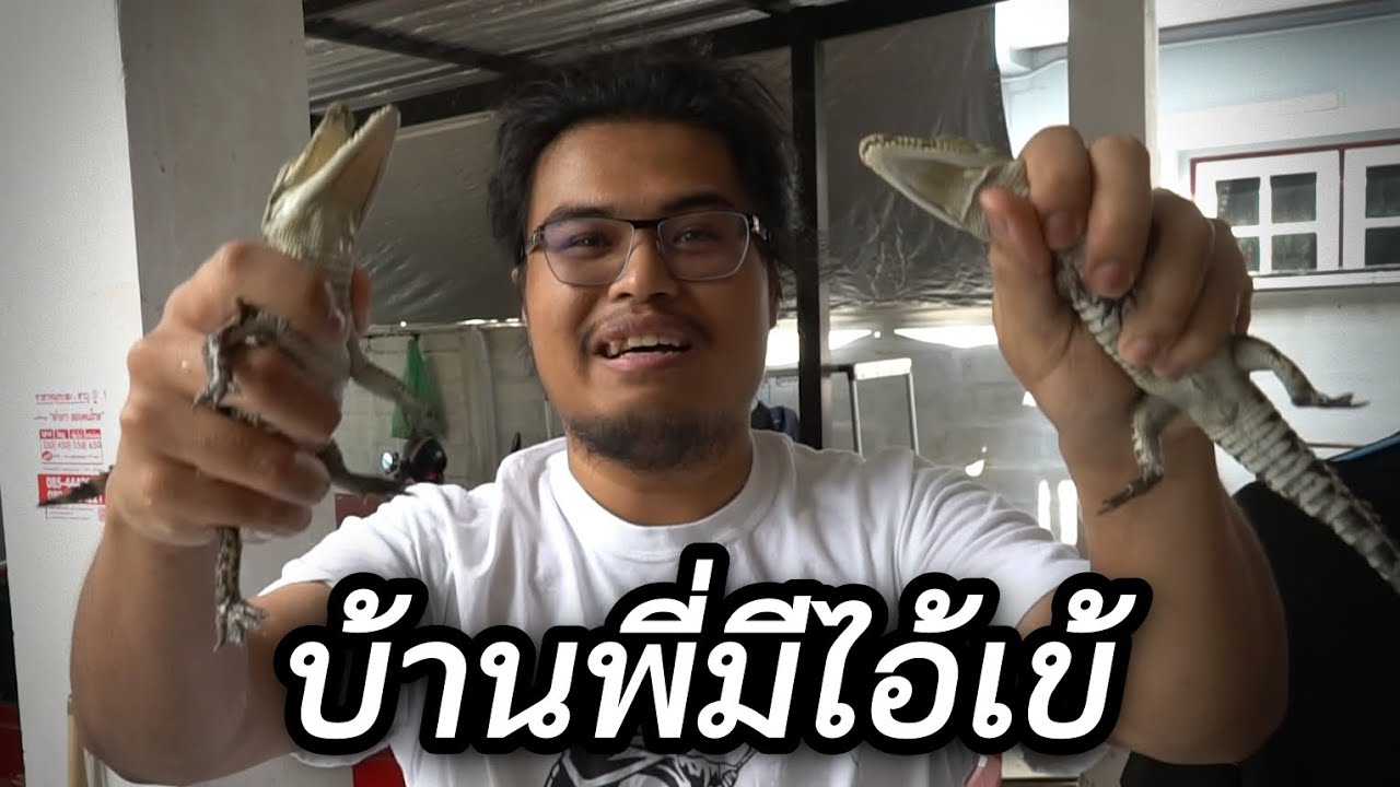 จระเข้ในบ้านขยะ เห่าทุกวัน นึกว่าหมา