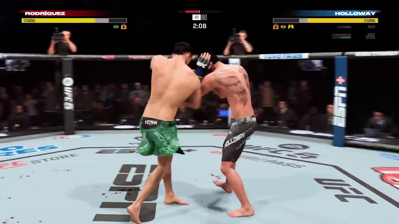 IQ UFC fighting with friend