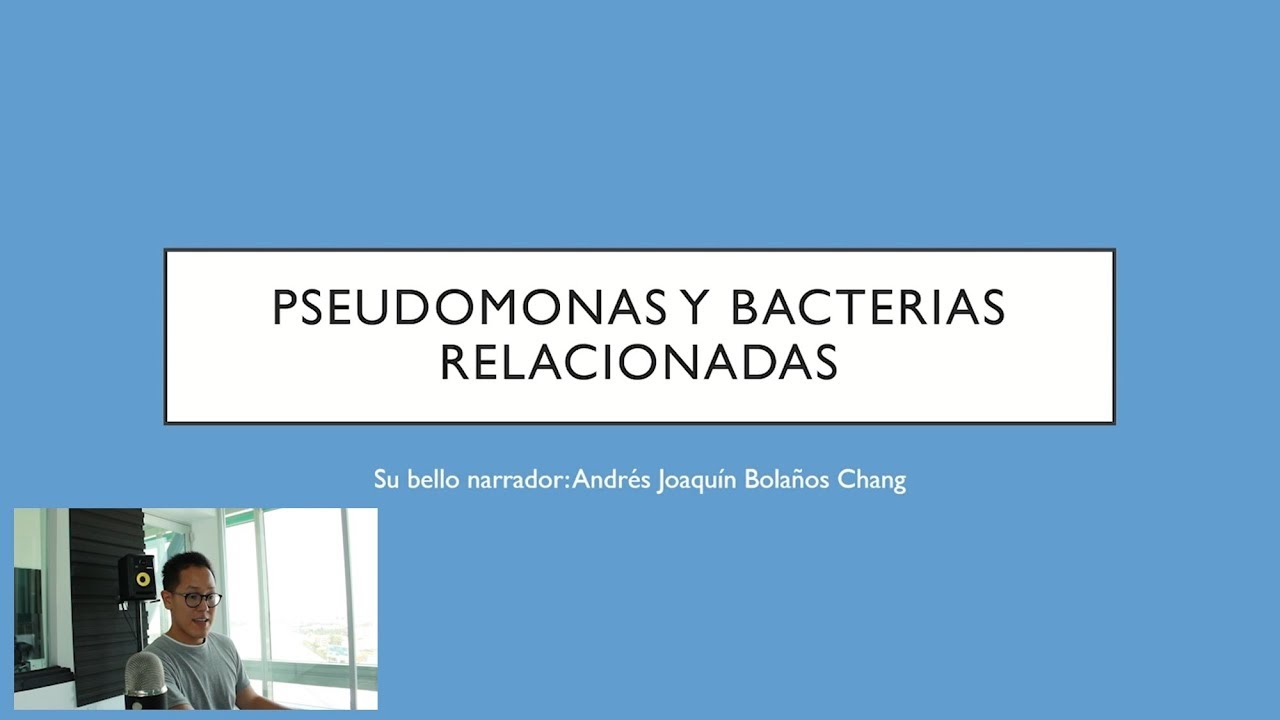 Pseudomonas y Bacterias Relacionadas | Bacteriología
