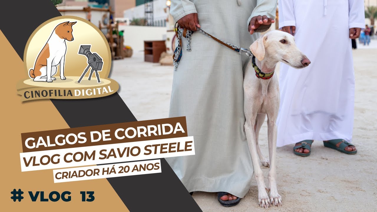 Galgos de corrida | Qatar | Cinofilia Digital | Vlog 13