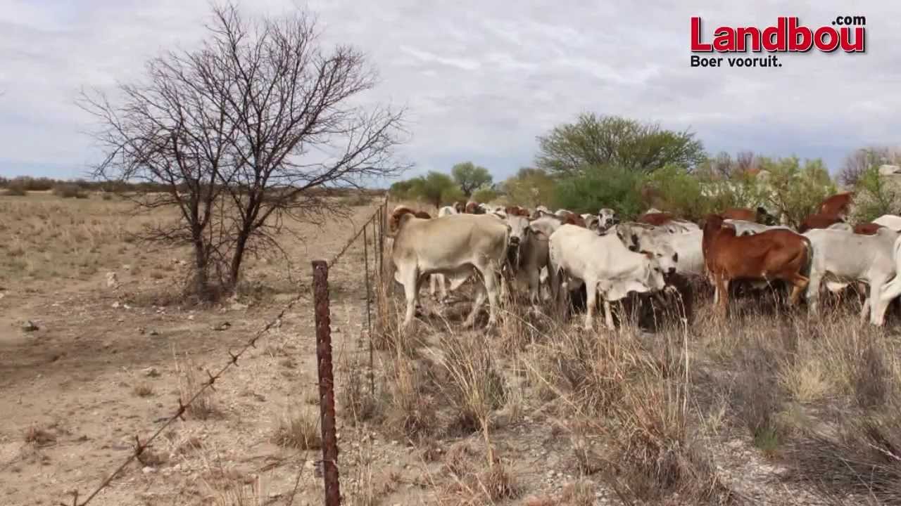 Slim planne in droogte