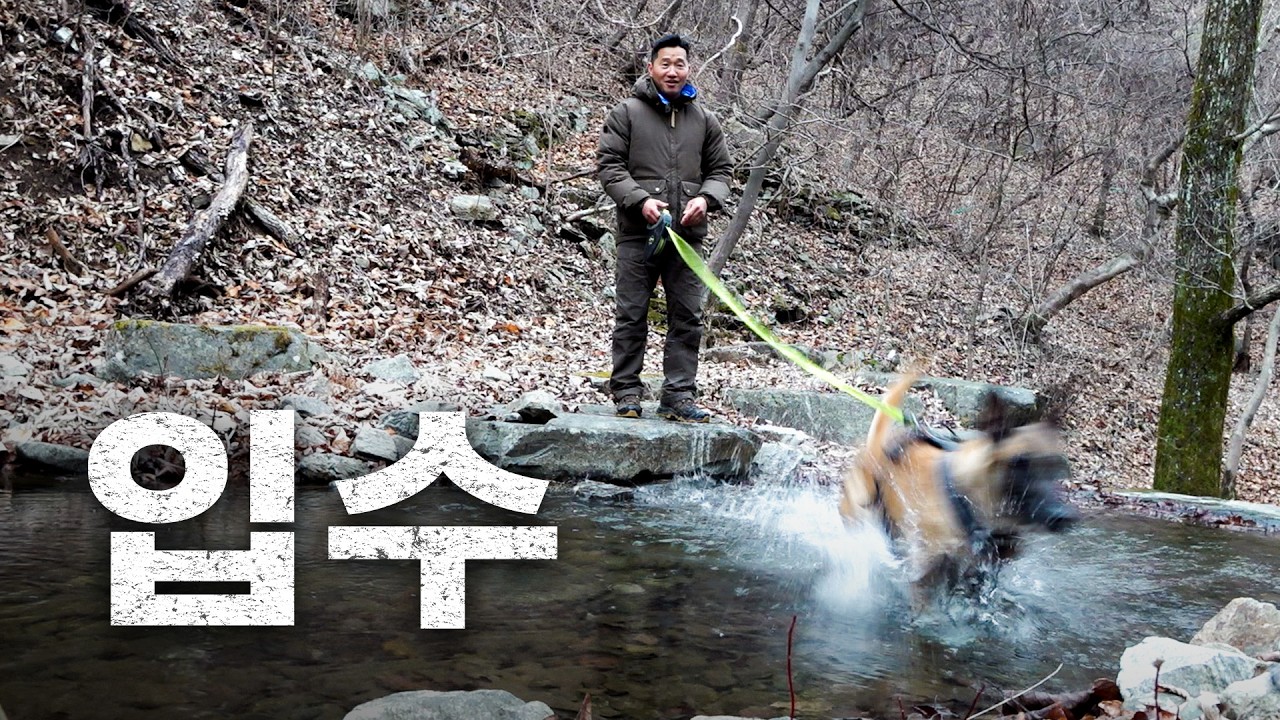 산으로 산(山)책. 개통령이 산책하는 방법