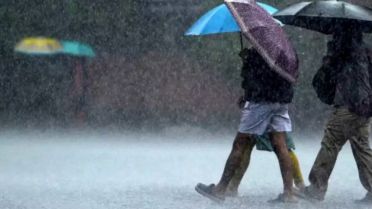 How accurate have Skymet and IMD's rainfall predictions been?: Explained