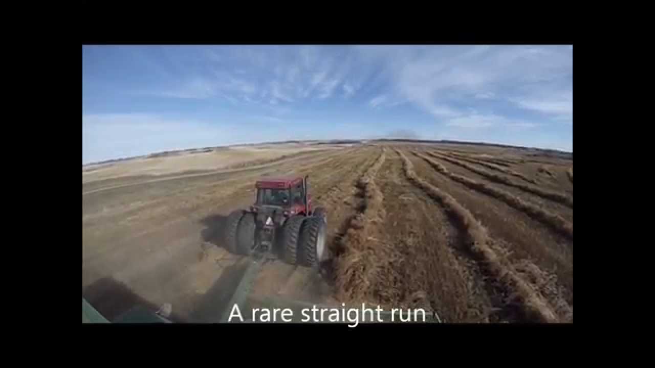 7721 flax harvest