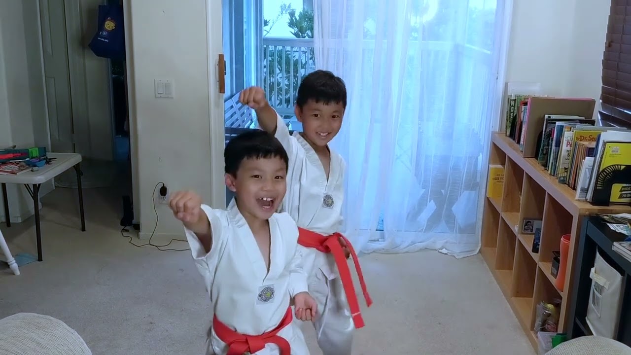 Tae Kwon Do Demo by Brian and Stevie