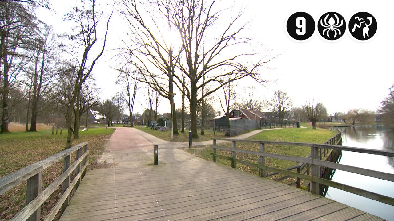 Viertal mishandelt 69-jarige op scootmobiel | Nijmegen