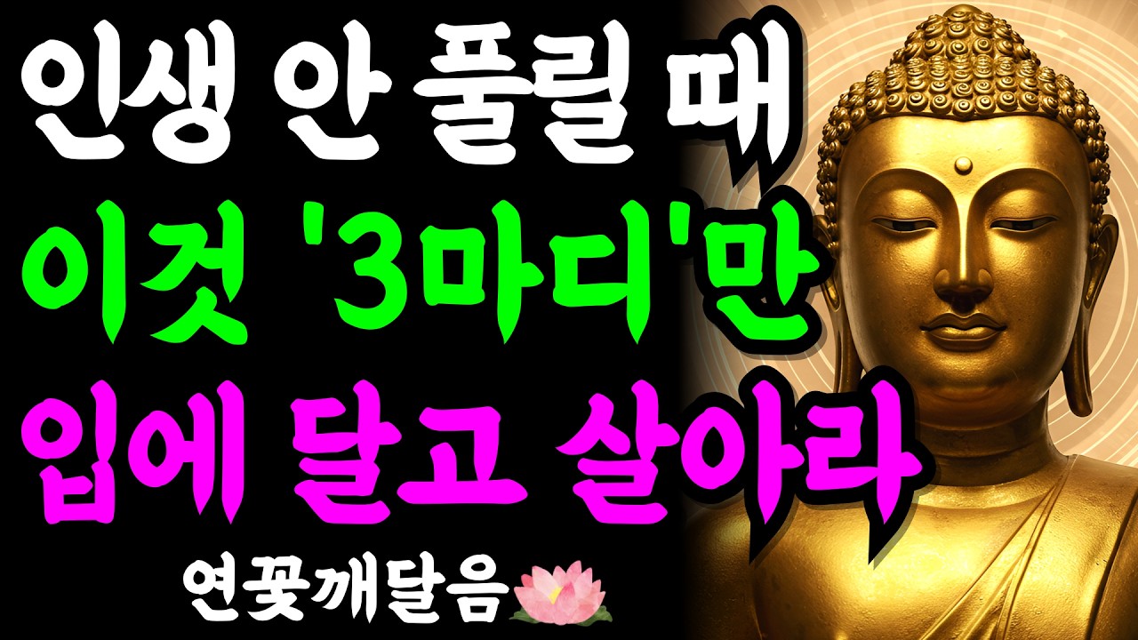 복 있는 사람은 말의 업을 알기에 평생 이 '세 마디'를 입에 달고 삽니다 | 부처님 말씀 | 석가모니 | 불교명언 | 불교오디오북