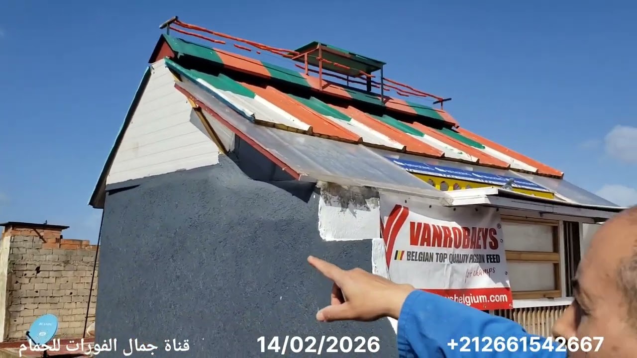 دخول حمام المسافة من تدريب 250 كلم اتمنى ان يعود كل الحمام تدريب شاق وشكرا على تعليقاتكم 