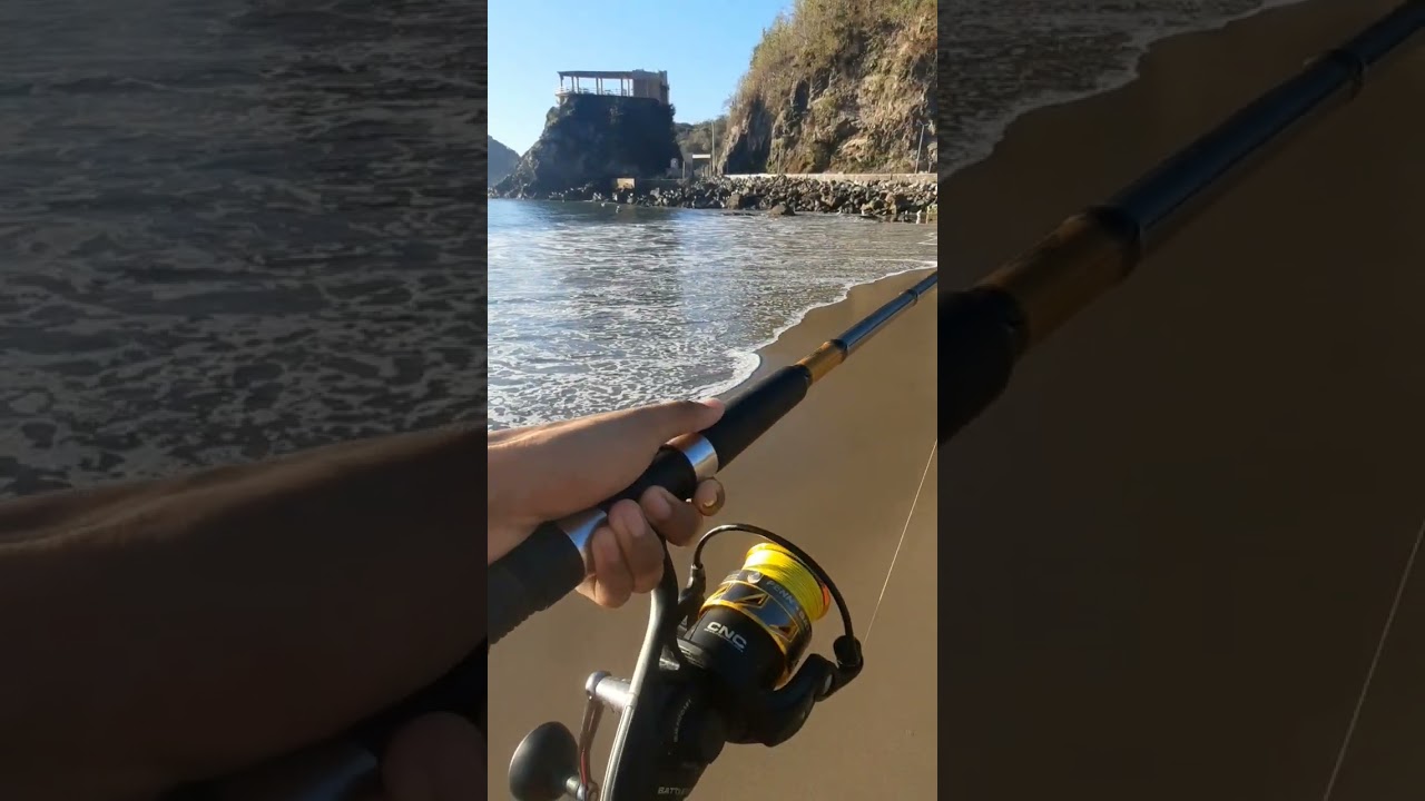 🎣🎣🔥 #parati #pescaesportiva #fishing #pescaspinning #viral #pescando #beach #fish #tiempodepesca