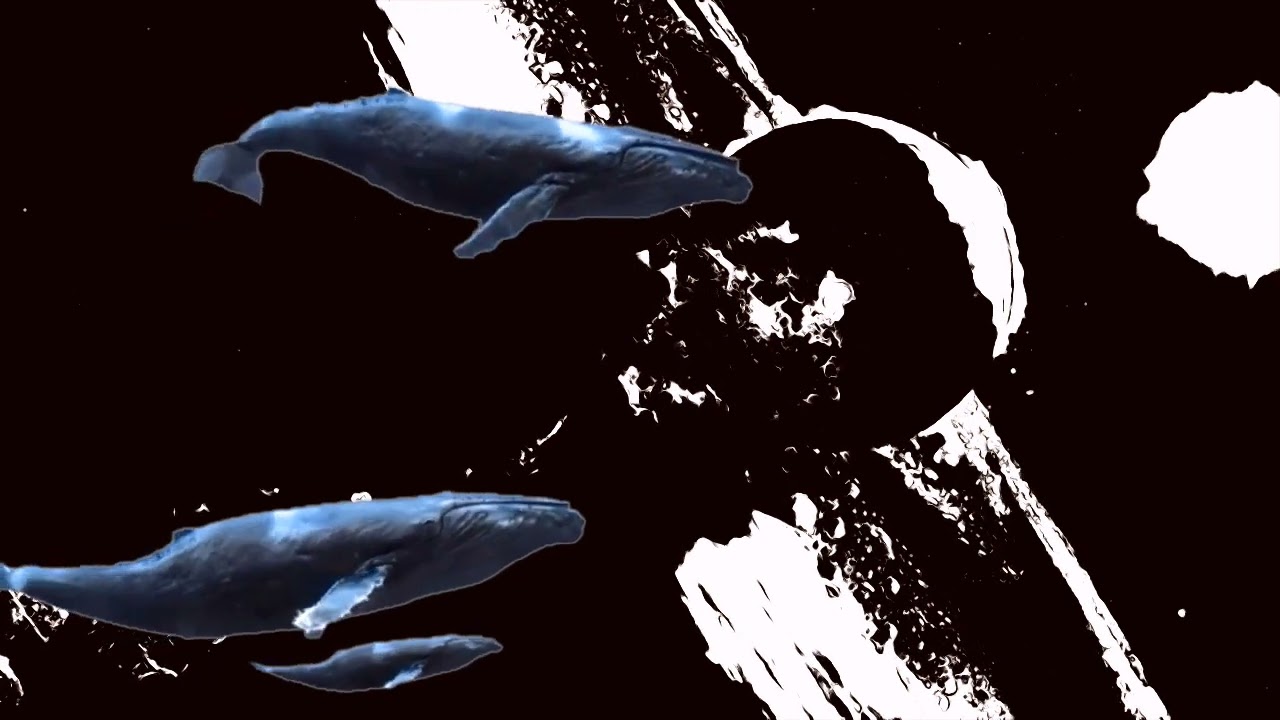 SPACEWHALES (NEW MIX)
