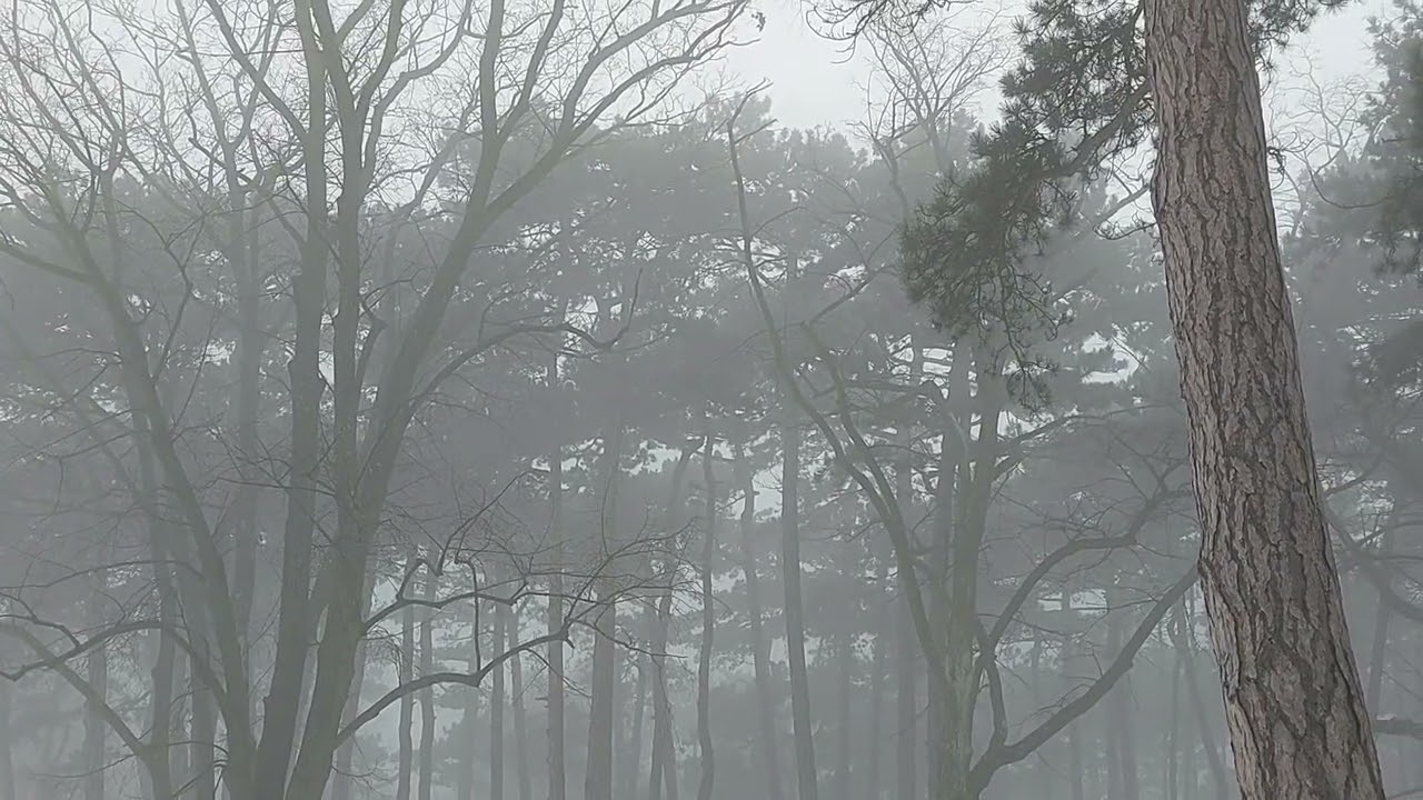 Finally Found A Lot Of Snow - A Short, But Fine Silent Movie